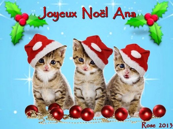Cadeau de Rose