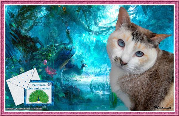 Cadeau pour Karo