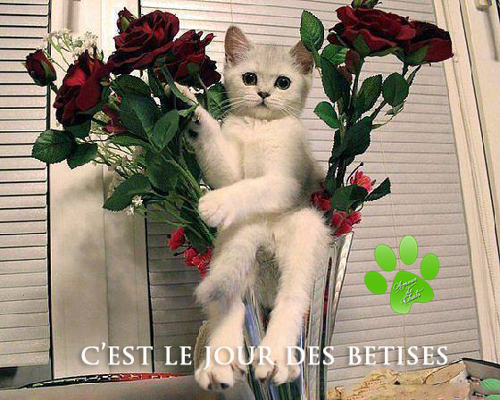 Cadeau de Christiane