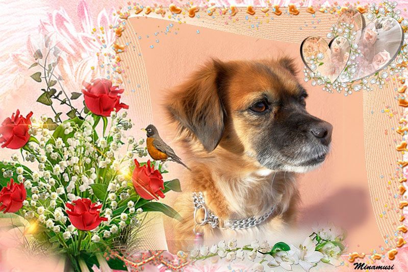 chiens sur fonds 1er mai